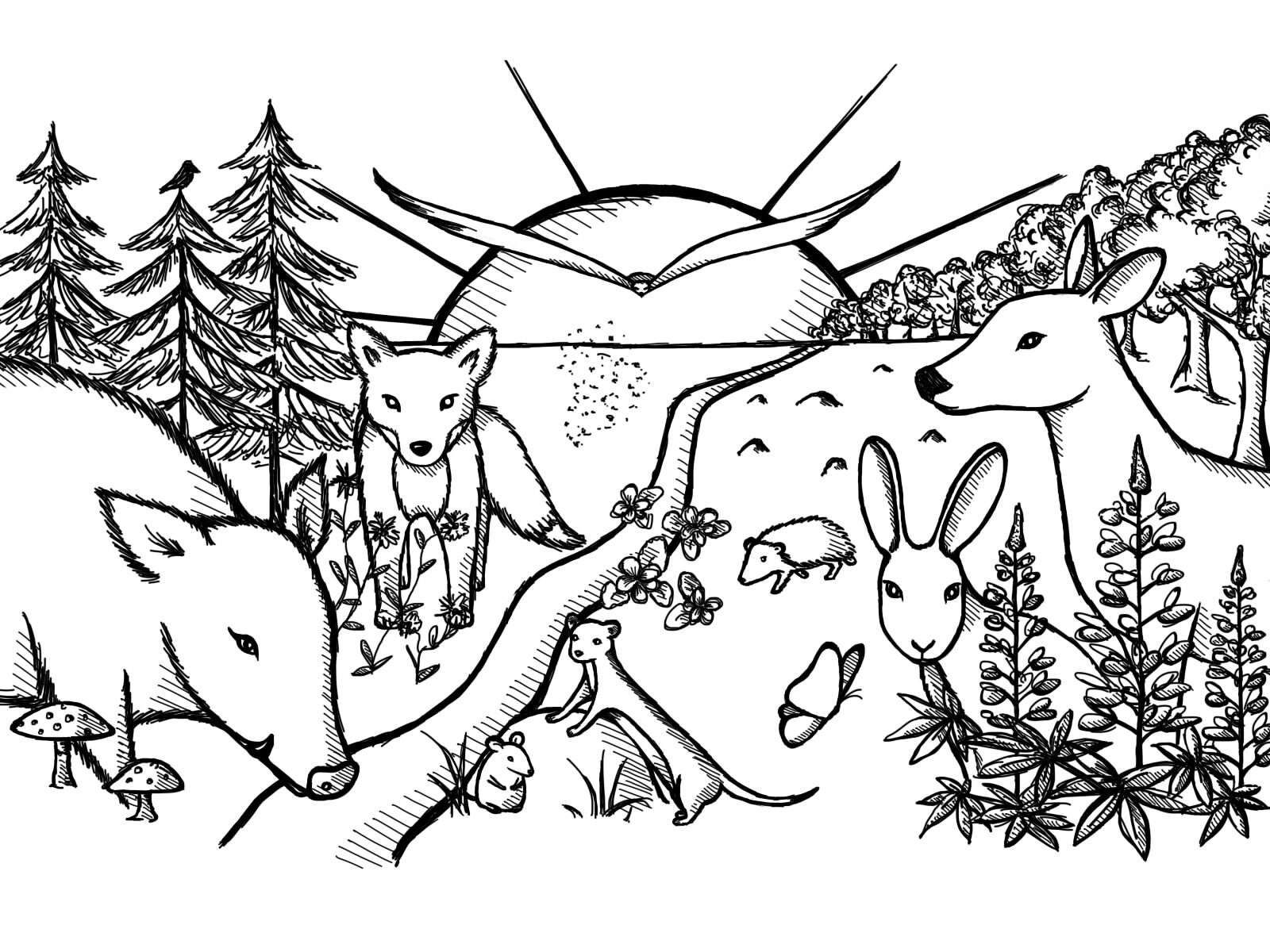 Ausmalbild Wildtiere - Etsy