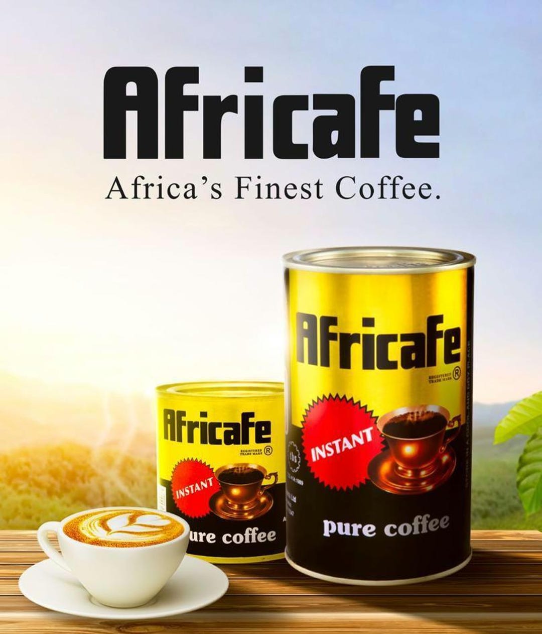 thumbnail image 2 of Jual Tanzania Arabica Coffee Full Washed Process 200g 2 of 9