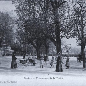 Può includere: Cartolina vintage in bianco e nero di Ginevra, Svizzera, raffigurante una scena di parco. Persone in abiti d'epoca camminano lungo un sentiero fiancheggiato da grandi alberi. È visibile una carrozzina.