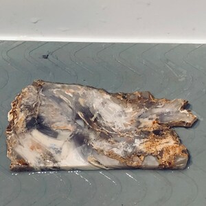 Brecciated Petrified Wood Agate Slab #2, Estate Petrified Wood Collector Slab Specimen, Thick Cut Old Stock Pastelite Petrified Wood Slab
