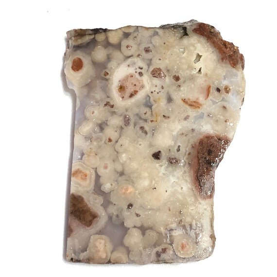 HTF Fisheye Fossil Agate Lapidary Slab Mexican Fish Eye Agate