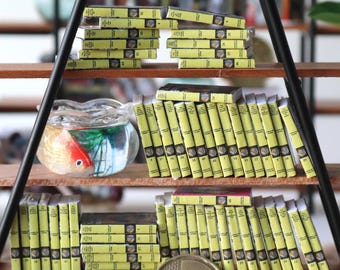 Ensemble de 56 couvertures de livres miniatures imprimables Nancy Drew Books Collection pour maisons de poupées Échelle : 1/12