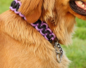 Collar ajustable para perro colorido para mascotas exteriores 
