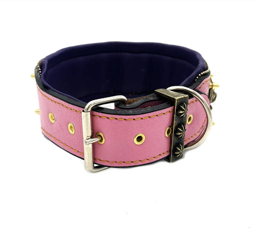 Pink spiked top dog collars pitbulls