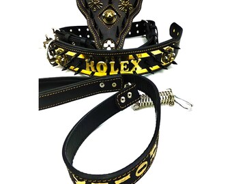 Black-gold Color Rolex Printed Dog Neck Chest Leash Set