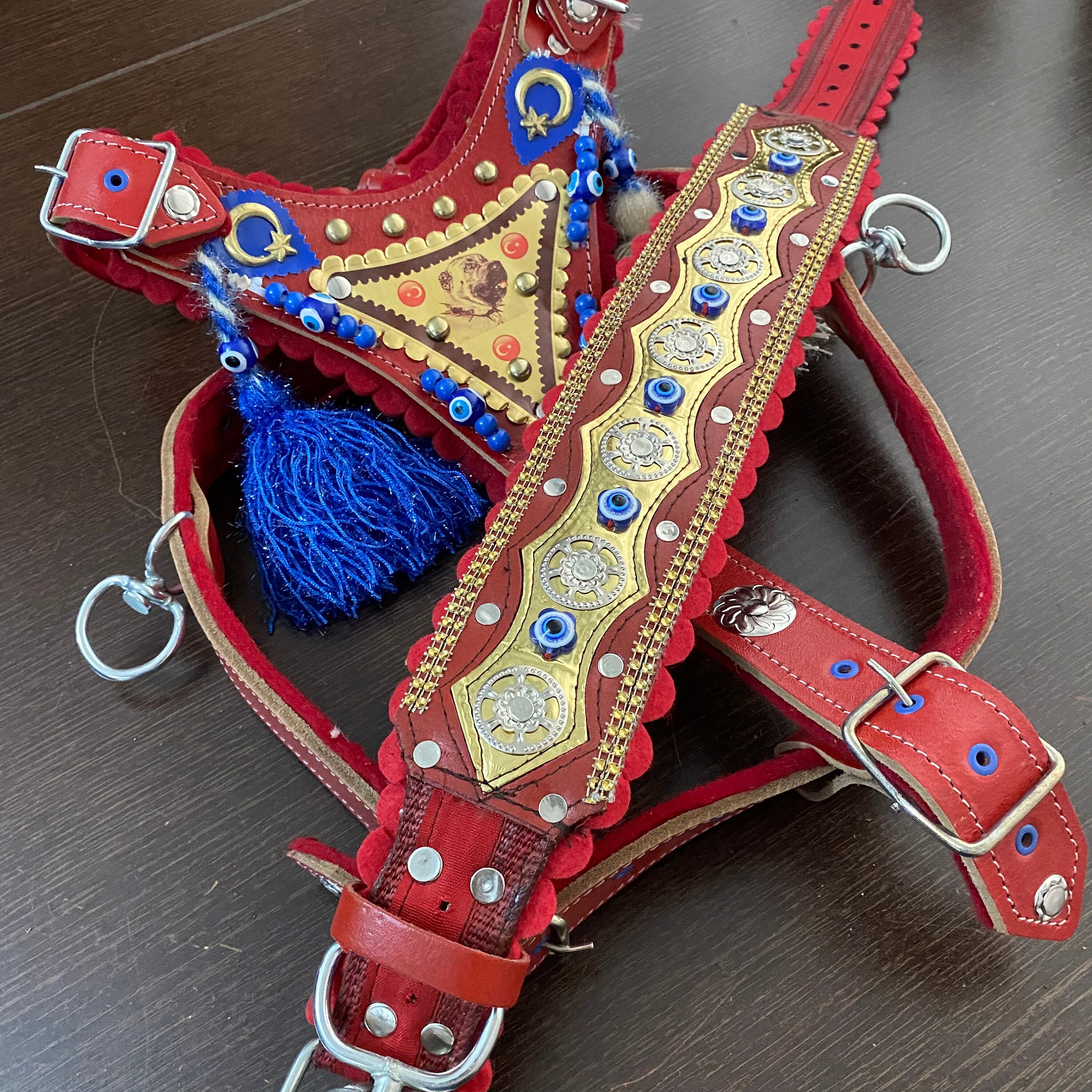 Kangal Dog Leash Set Chest Collar Etsy