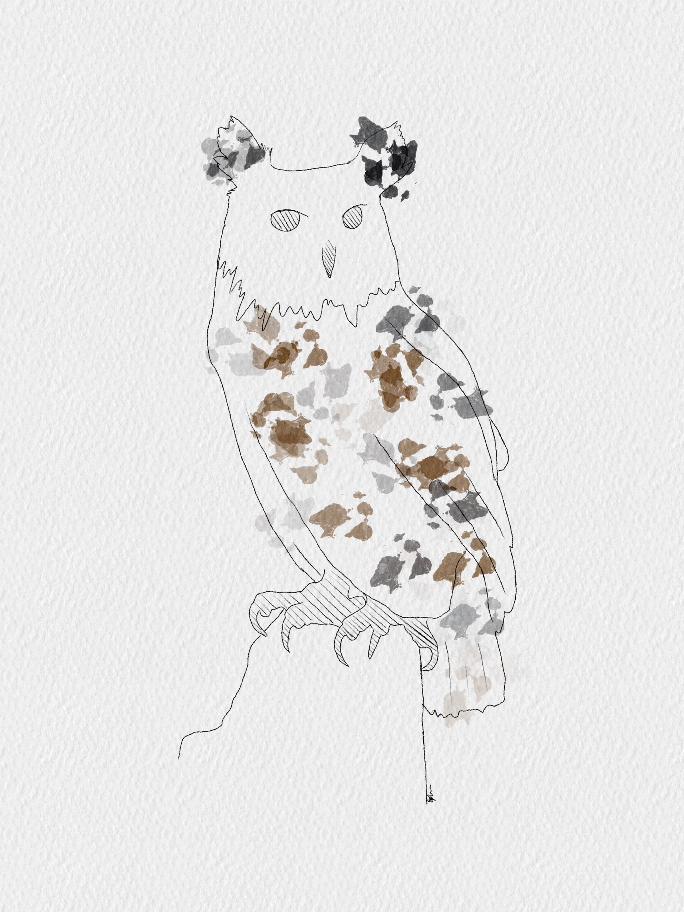 Horned Owl Art Print - Unframed A6 A5 A4, Owls, Nature