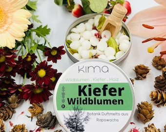 Fragrance Melt Botanik Drops 