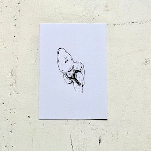 Postkarte : trampling