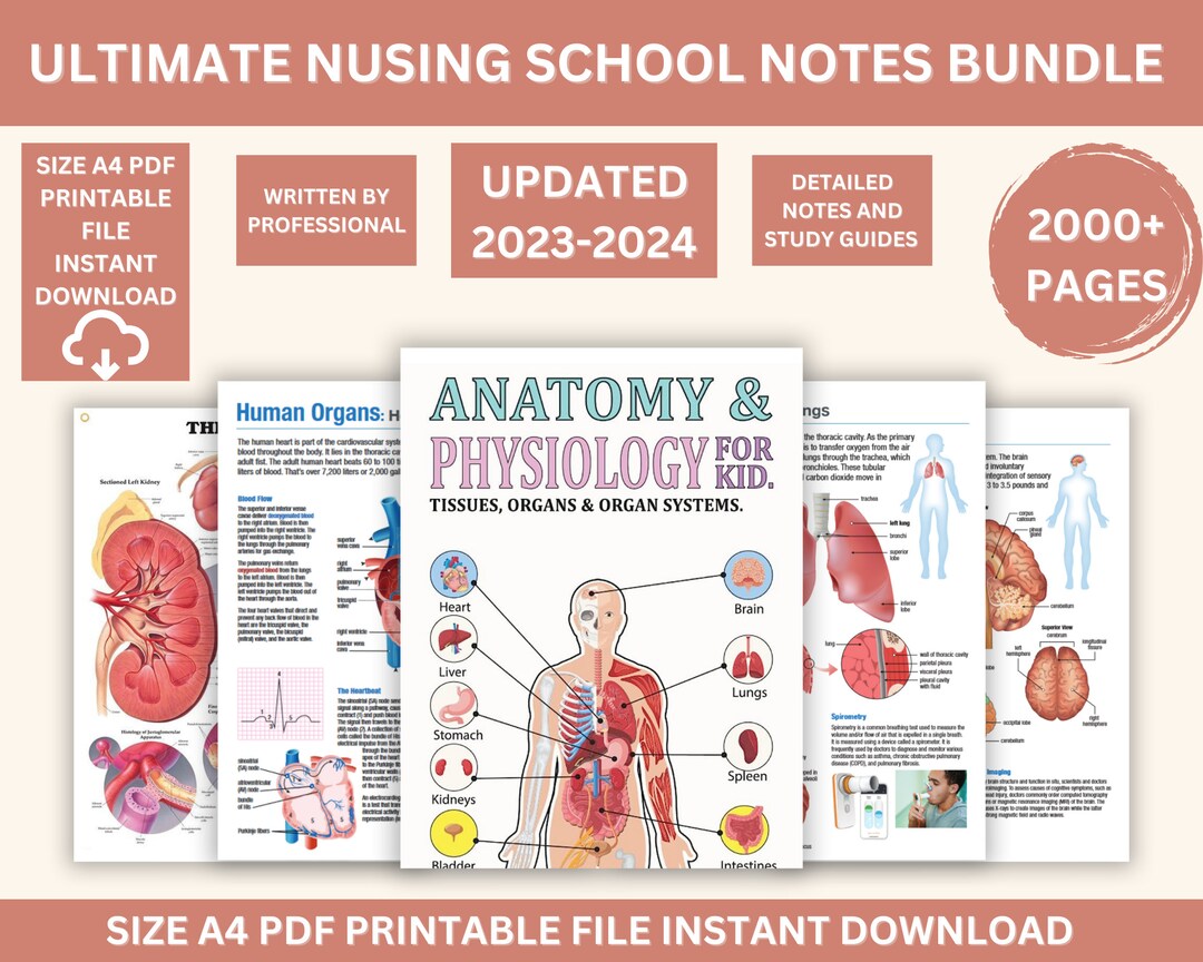 Anatomy And Physiology Nursing Anatomy Study Guide Anatomy Notes A And Anatomy And Physiology Nursing Anatomy Study Guide Anatomy Notes A And