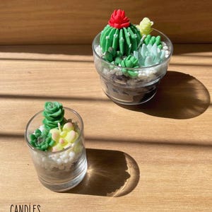 Mini Cactus Garden Candle | Succulent Candle Shot Glass | Tiny Plant Lover Gift | Small Batch Handmade Candle | Desk or Party Favor