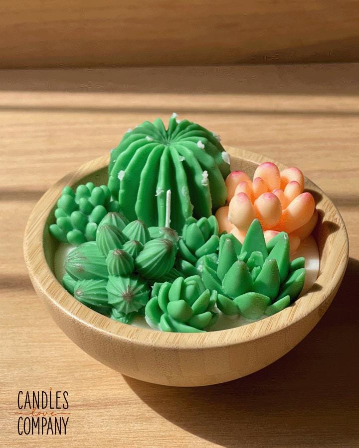 Cactus Garden Candle Closing Gift | Unique New Home Gift | Succulent Candle  for Buyers | Housewarming Gift From Agent | Eco Home Decor - Etsy