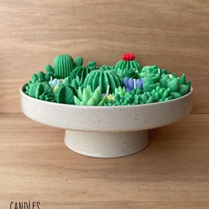 Large Succulent Cactus Garden Candle Home Decor, Succulent Centerpiece Gift For Cacti Lovers, Plant Mom Cacti Garden Candle Gift For Her