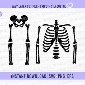 May include: A black digital cut file featuring a human skeleton anatomy graphic with a rib cage, pelvis, and arm bones. The text reads EASY LAYER CUT FILE CRICUT SILHOUETTE, TRULY SVG, and INSTANT DOWNLOAD SVG PNG EPS.