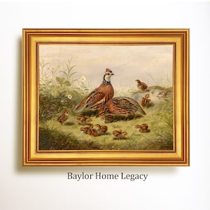 Framed Bobwhite Quail and Chicks, Oil Painting Print on Canvas, Wood Frame Ready to Hang