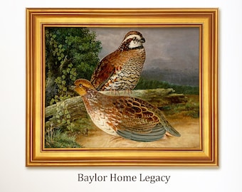 Framed Bobwhite Quail Oil Painting Print on Canvas of an Antique Oil Painting, Wildlife Bird Art, Male and Female Quail