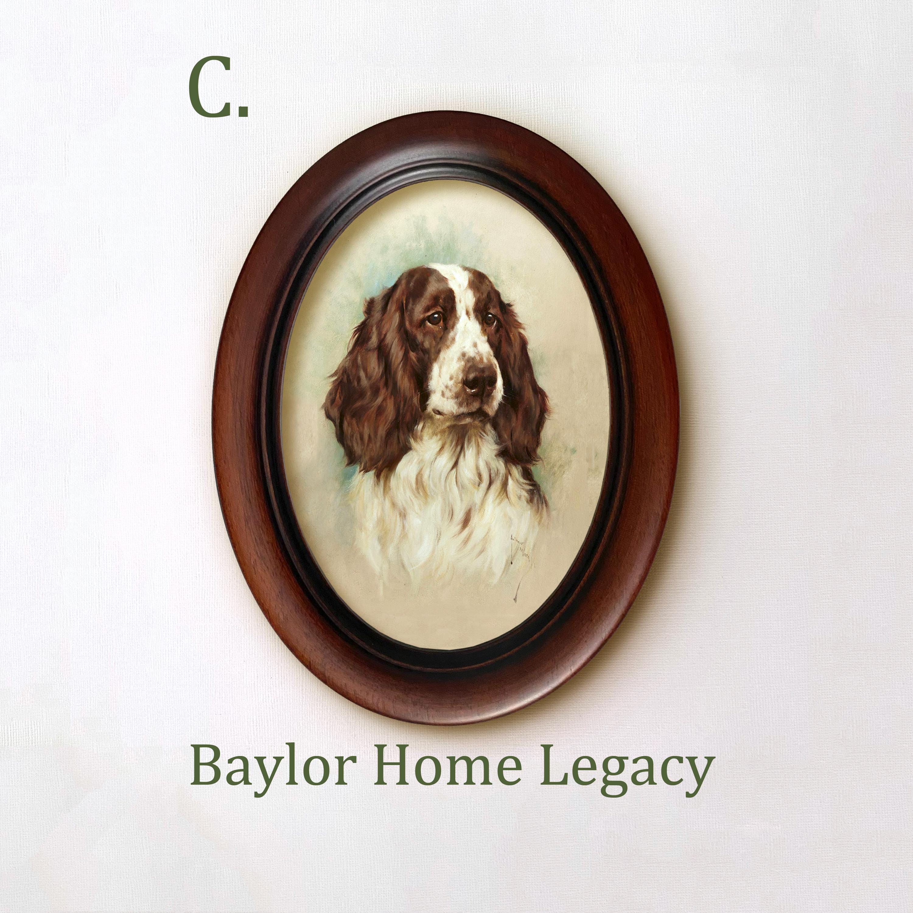 Springer Spaniel Print Framed Oval Springer Spaniel Canvas Art Print of Antique Oil Painting ...