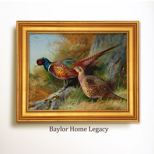 Framed Ring-Neck Pheasants in Landscape, Ringneck Pheasant Painting Canvas Print, Vintage Country Rustic Bird Art, Cabin Decor Wall Art