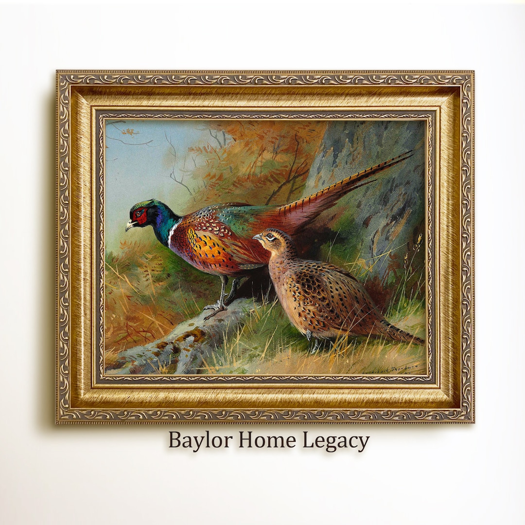 Framed Ringneck Pheasants in Landscape, Ringneck Pheasant Painting