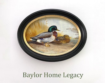 Mallard Duck Wall Art Framed Canvas Print, Vintage Marsh Wildlife Artwork, Oval Duck Painting, Hunting Lodge Decor, Traditional Bird Art