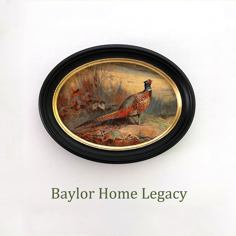 Bird Painting in Oval Frame - Etsy