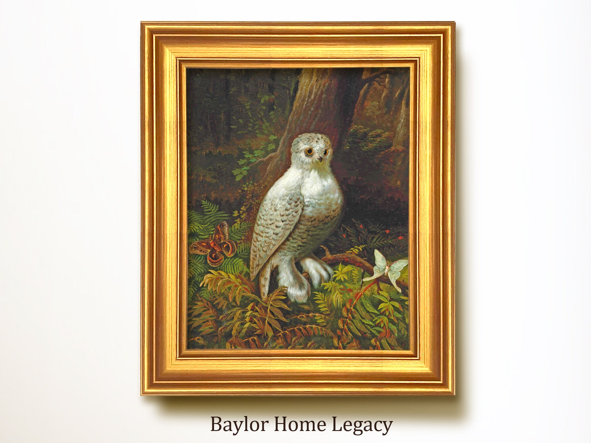 Framed Snowy Owl Oil Painting Canvas Print, Vintage Rustic Country Bird Art Print, Luna Moth & A