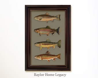 Framed Trout Canvas Art Print in Choice of Solid Wood Frame, Trout Fishing Gift, Trout Wall Art, Fly Fisherman Decor, Country Cabin Decor