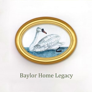 PLASTER OVAL SWAN WALL PLAQUE # 905A
