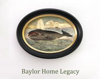 Framed Oval Baleen Whale Canvas Print, Vintage Whale Artwork, Nautical Coastal Decor, Ocean Animal Coastal Cottage, Beach House Decor