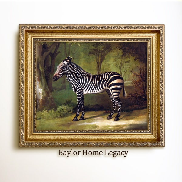 Framed Zebra Oil Painting Print on Canvas, Framed Zebra Painting, Zebra in Wooded Landscape Picture