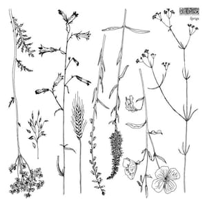 IOD Sprigs Stamp