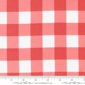 Può includere: Tessuto gingham rosso e bianco con un motivo a quadri da 2,5 cm. Il tessuto è mostrato con un righello per la scala.