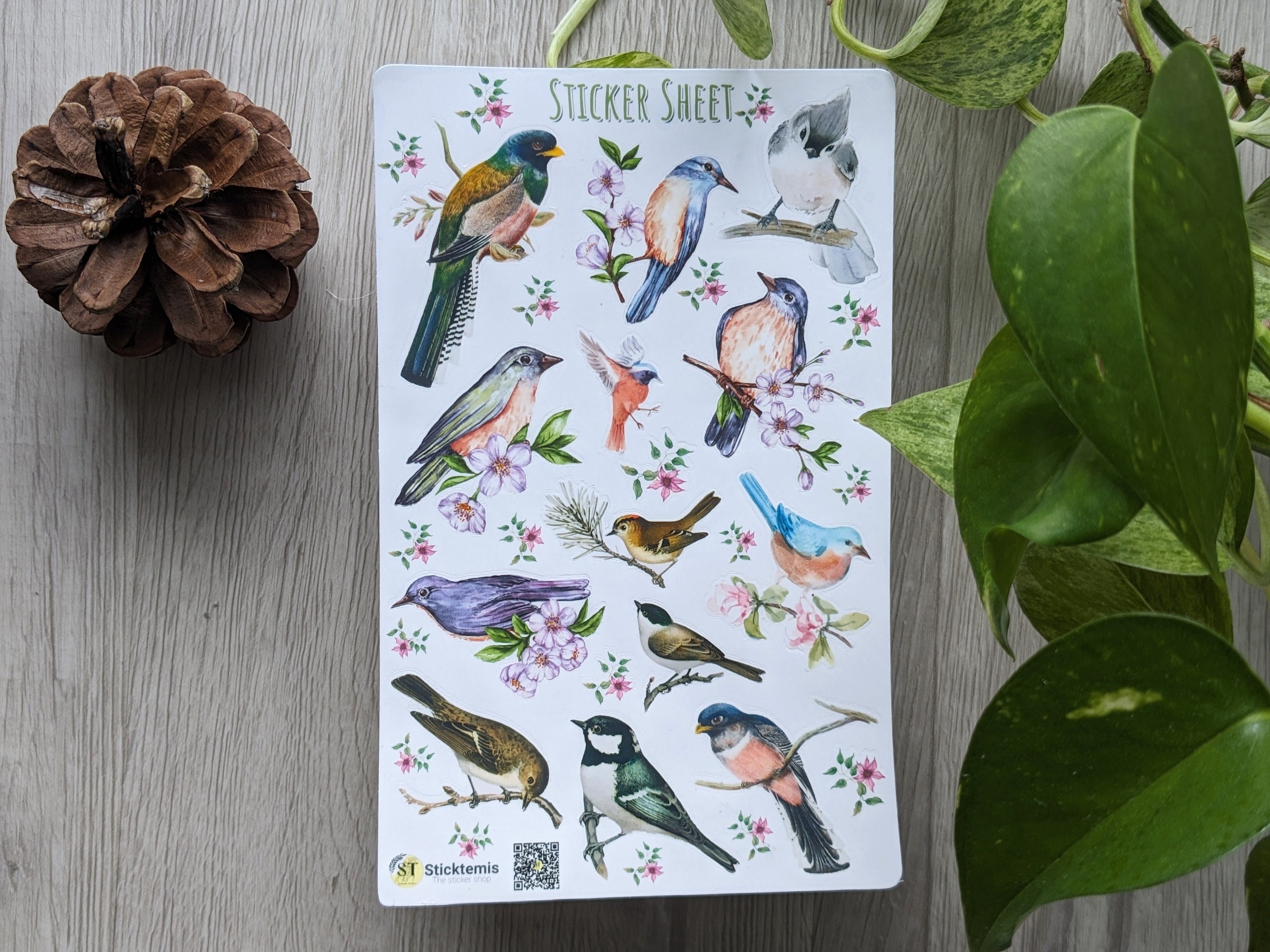 Birds & Flowers Sticker sheet, Planner Stickers, scrapbook stickers, spring Journal Stickers, nature sticker, spring summer