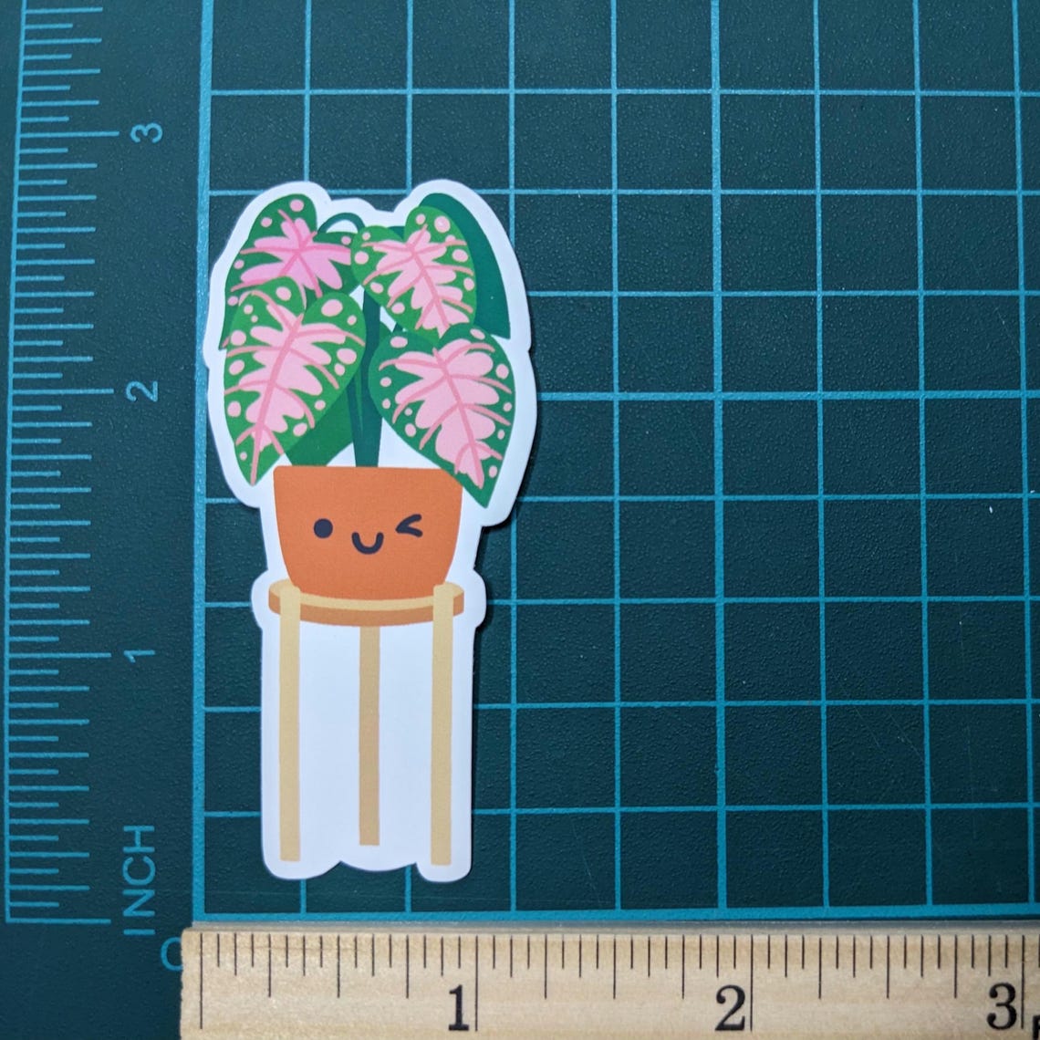 Cute Hawaii Caladium Vinyl Sticker | Minimalist House Plant Sticker ...