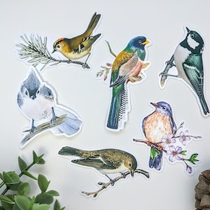 Lot de 6 autocollants en vinyle oiseaux | Pack d'autocollants nature | autocollants pour ordinateur portable | autocollants décoratifs
