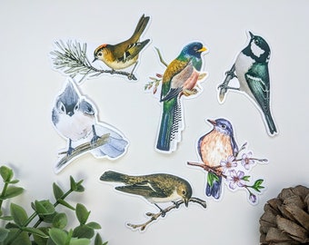 Set of 6 Birds Vinyl Stickers Pack | Nature sticker pack | laptop stickers | decor stickers