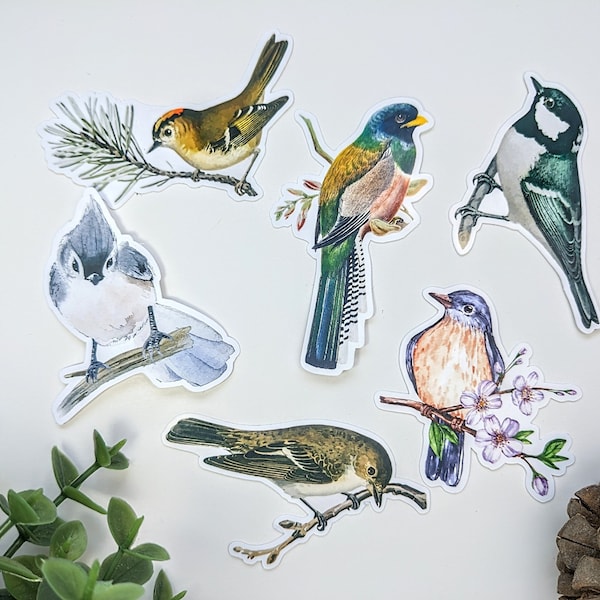 Bird Vinyl Stickers Pack: Nature Decor, Laptop Stickers