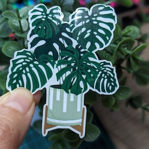 Autocollant Monstera en vinyle imperméable découpé | Stickers plantes Monstera | Sticker maman plante | Cadeaux pour les amateurs de plantes