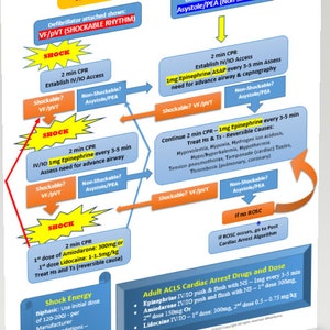 ACLS reference study guide - Cardiac Arrest, Shockable, Non-Shockable, Brady, Tachy, Post Cardiac Arrest, and EKG Analysis of Lethal Rhythms