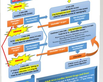 ACLS reference study guide - Cardiac Arrest, Shockable, Non-Shockable, Brady, Tachy, Post Cardiac Arrest, and EKG Analysis of Lethal Rhythms