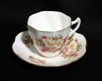 Apple Blossom Teacup and Saucer Rosina Bone China England