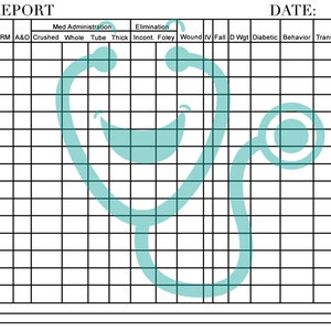 Long Term Care Report Sheet - Etsy