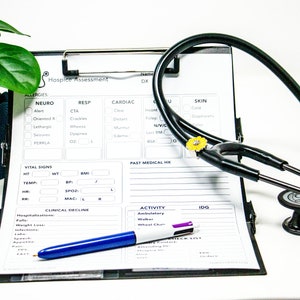 Hospice Assessment Form for Hospice Nurses