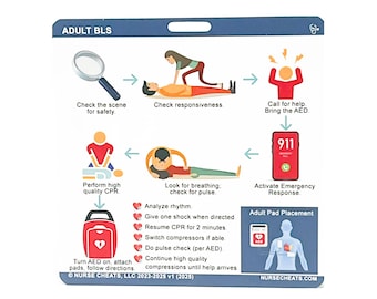 BLS Reference Badge - Nurse Cheats Edition