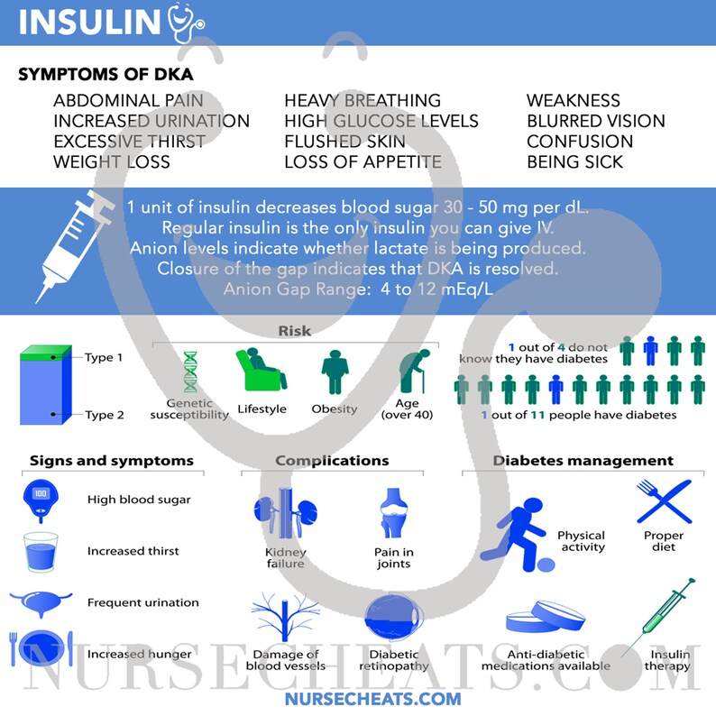 Insulin Peak Times Badge for Nurses Etsy