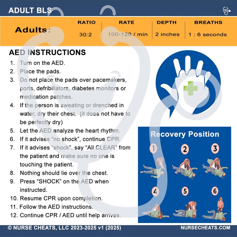 BLS Reference Badge - Nurse Cheats Edition - Etsy