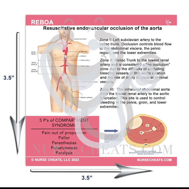 Our REBOA badge buddy measures 3.5" w x 3.5" h.
