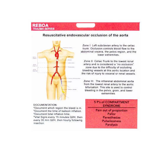 Endovascular Occlusion Badge for Trauma Nurses