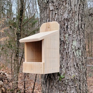 Cedar Nest Box Birdhouse