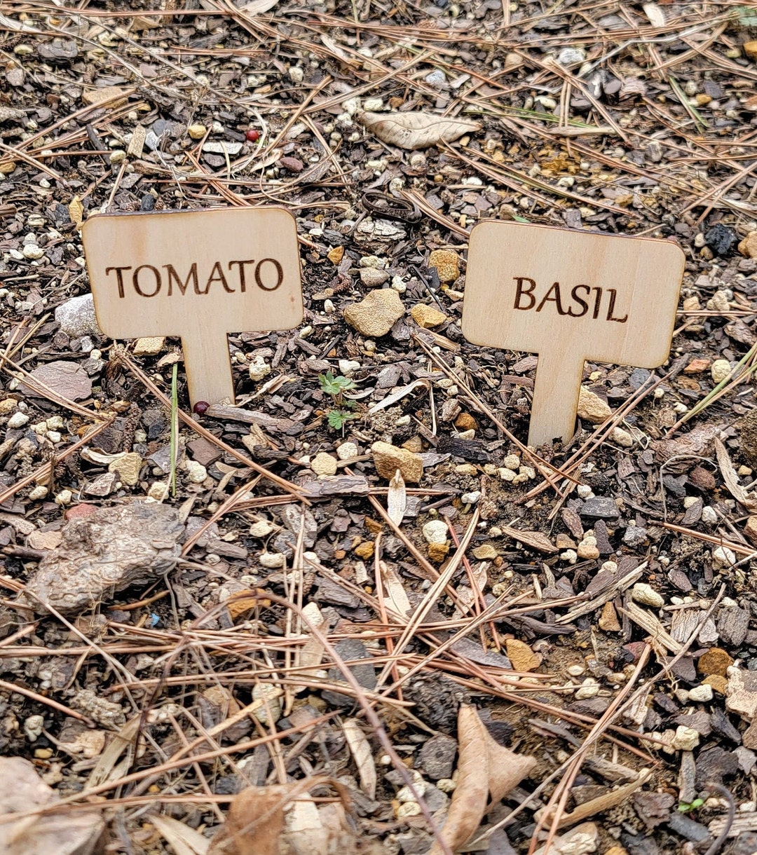 10 Garden Plant Label Stakes Etsy